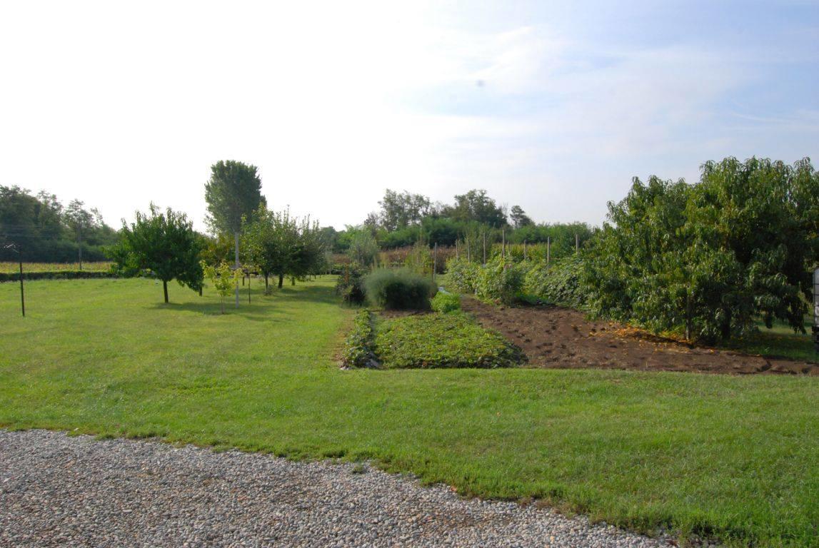 Agriturismo La Biandrina Carpignano Sesia Exteriér fotografie